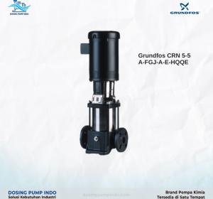 Grundfos CRN 5-5